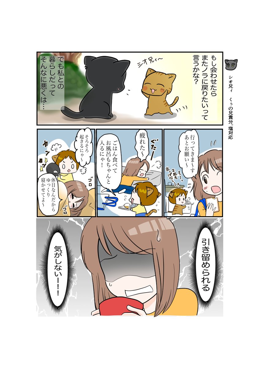 #スパダリにゃんこ 
くぅの日常 第64話 
しずくは静かに決意する

卓越した家事能力と包容力を備えたスーパーダーリンにゃんこのくぅ。
くぅに頼りっぱなしのしずくはノラ時代の友達と再会させるには不安がぬぐえなくて…。

#創作マンガ #マンガが読めるハッシュタグ 