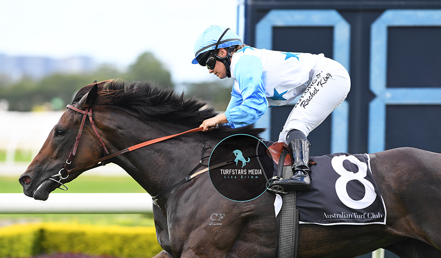LisaGrimm9's tweet photo. So You Think mare #NIMALEE (x Dezign) brings up an early double for @RachelK11 in the NSW JOCKEYS ASSOCIATION HANDICAP (1400 METRES).

@mcsmithracing https://t.co/VX7UBWwpRS
