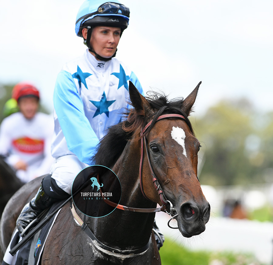 LisaGrimm9's tweet photo. So You Think mare #NIMALEE (x Dezign) brings up an early double for @RachelK11 in the NSW JOCKEYS ASSOCIATION HANDICAP (1400 METRES).

@mcsmithracing https://t.co/VX7UBWwpRS
