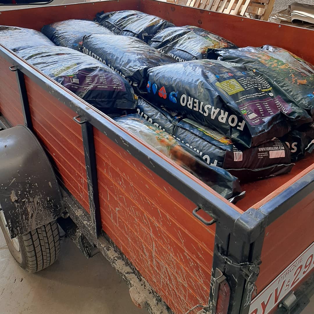 MILTONDIAZB's tweet image. Vendimos todo de la primera compra.  Muy felices ,próxima semana comprar más de la primera compra para ir creciendo,  paso a paso ! #Forastero #NutricionAnimal #BordePirque 🙏🚚🐕🐴🐄🐑❤