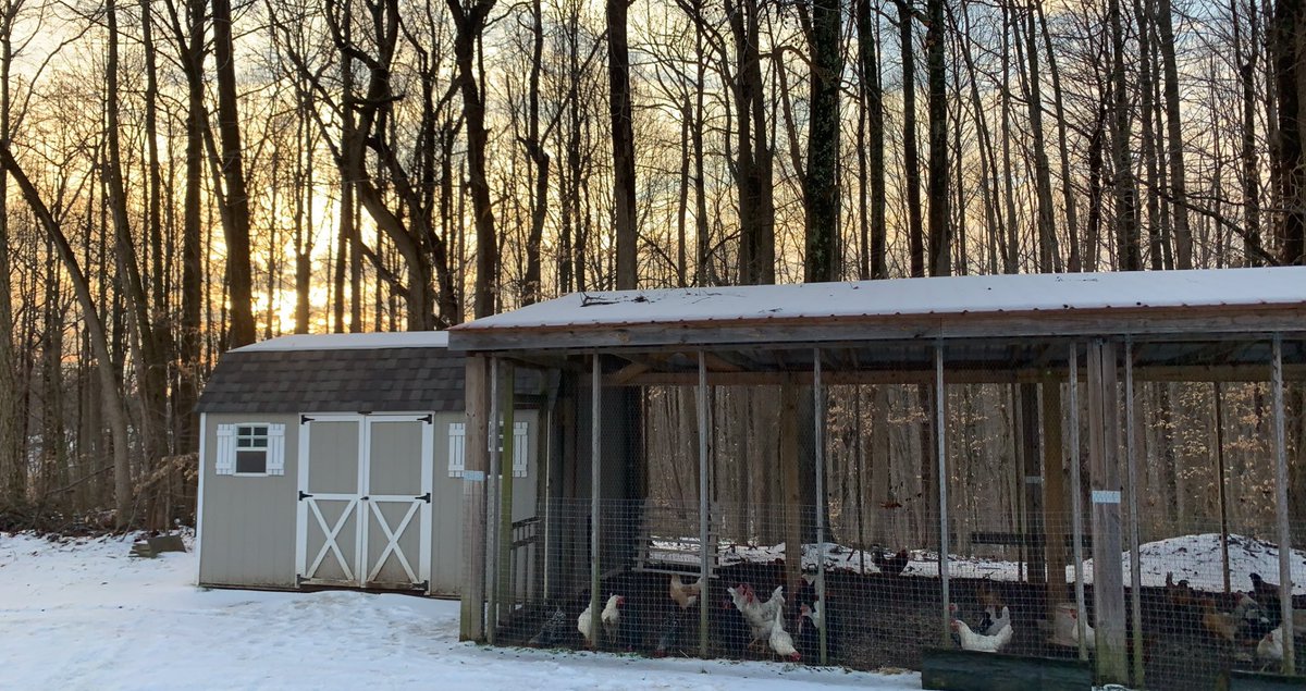 I didn’t have a sunrise today but I gotta #sunset  Have a great weekend y’all, be safe 🤗🥃😜💋