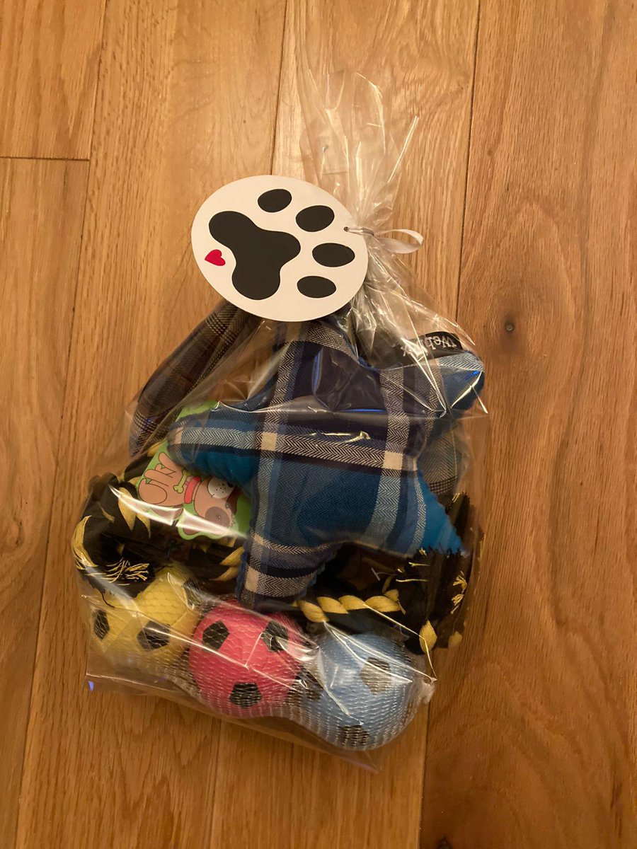 notodogmeat's tweet photo. #ToyBundle #Charity Raising funds for shelter dogs. Interested? campaign@notodogmeat.com https://t.co/5PkaLgREC8