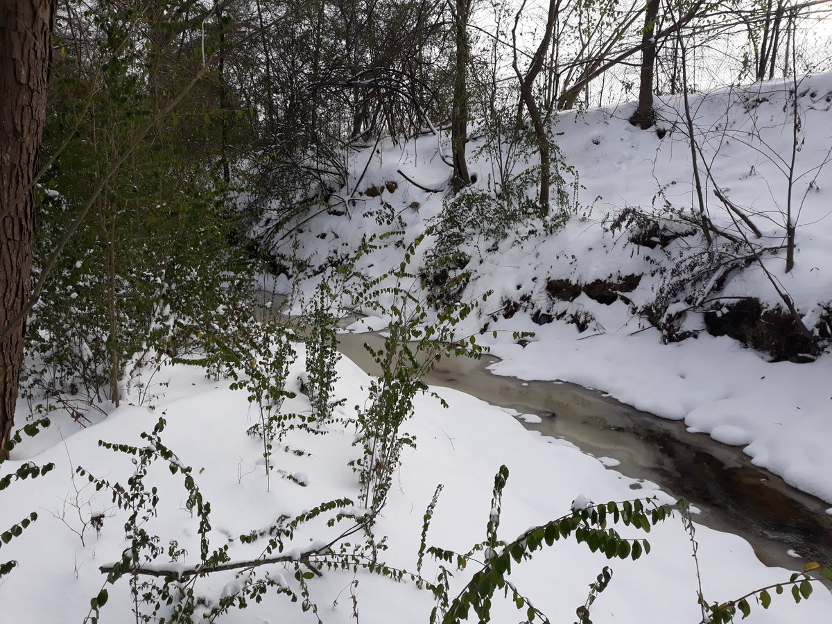 LarnellFox's tweet photo. Snow https://t.co/tCcQ4VeHui