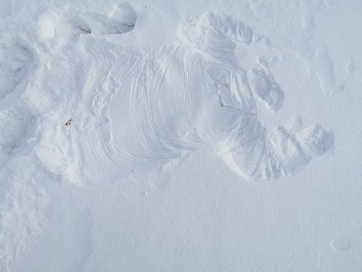 ECryptyd's tweet photo. Sometimes you gotta flomp into the snow and cloud gaze ☁️🌤️

#cloudgaze https://t.co/nGe1YOqnDF