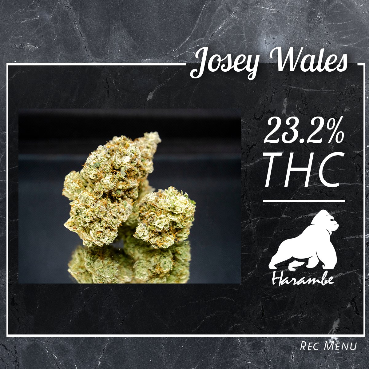hgcanna's tweet photo. Just when you thought this week couldn't get any frostier.. JOSEY WALES IS BACK ON THE MENU!

Traveling less than a mile from our grow, to your hands. That's OUR #Lansing local. https://t.co/xPQZDRfLPI