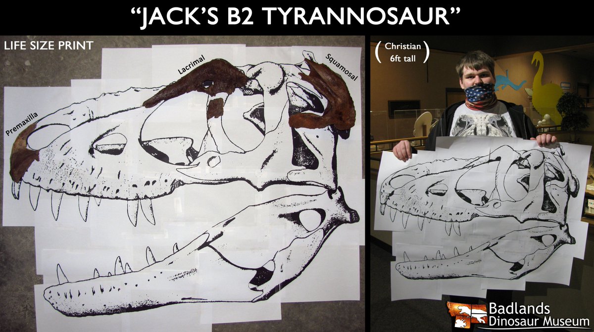 Denver Fowler Ph.D tweet media