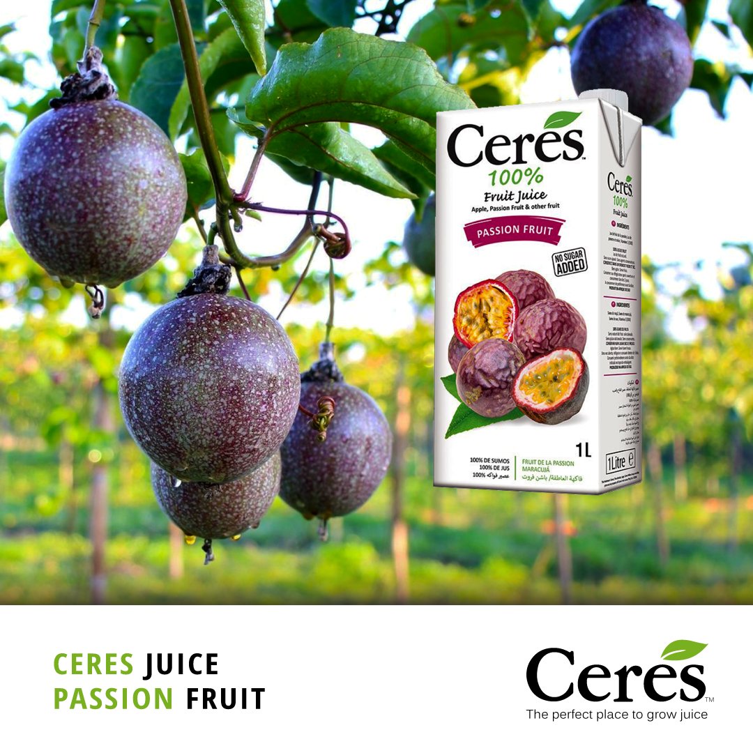 peglimited_'s tweet photo. Purple &amp; Yellow Passion Fruit are native to Brazil, cultivated by the Aztecs, who prepared refreshments &amp; drinks with them.  The fruit is intensely cultivated in South Africa. 

#EatFruit #FruitJuice #DrinkJuice #DrinkCeres #NaturesBest #CeresJuice #CeresFruitJuice #CeresBarbados https://t.co/eNcyNUDsK3