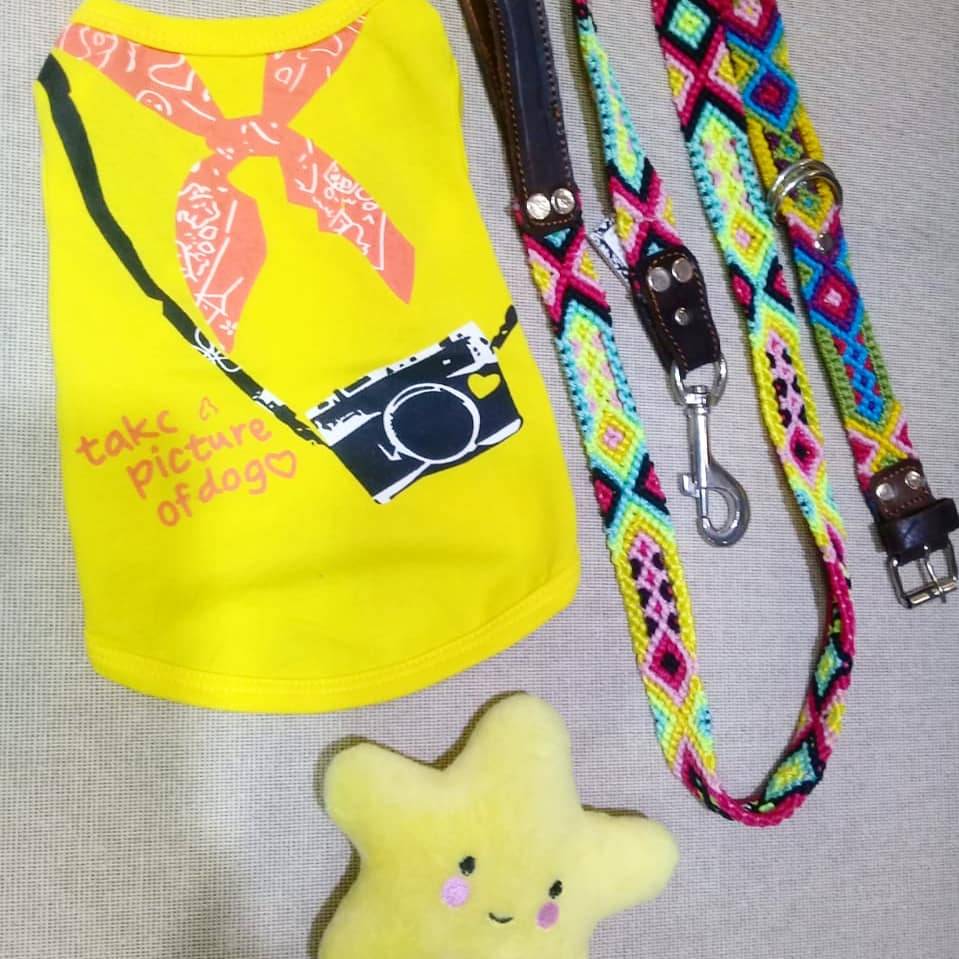 BarksMasaryk's tweet photo. Nuevas correas y juguetes en Barks. 😍 Ven con tu perrito y escojan juntos. ¡Te encantaran todas las opciones que tenemos para consentir a tu mejor amigo! 
Martes a Domingo de 11 a 7 p.m. https://t.co/UKEpPobj42