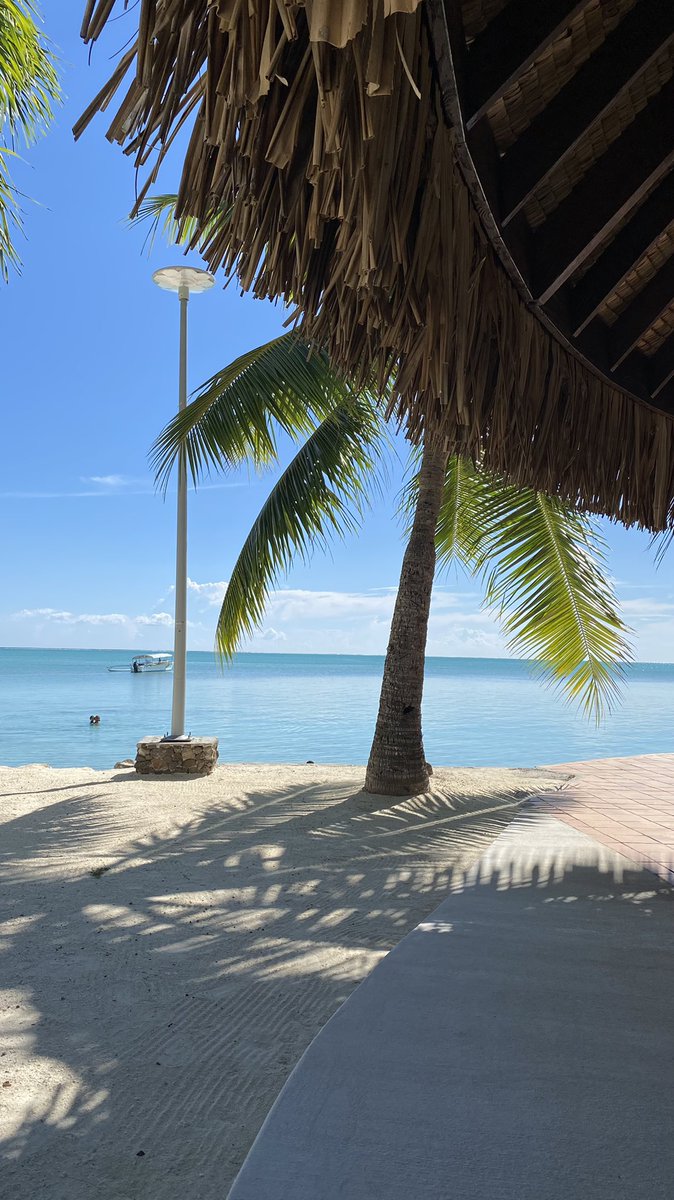 RahitiR's tweet photo. #borabora #rahitirobson https://t.co/D8QMRnq04x