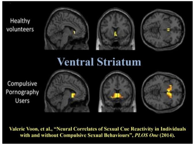VAP_ SPACE X Algorithm AAAI G4 tweet media