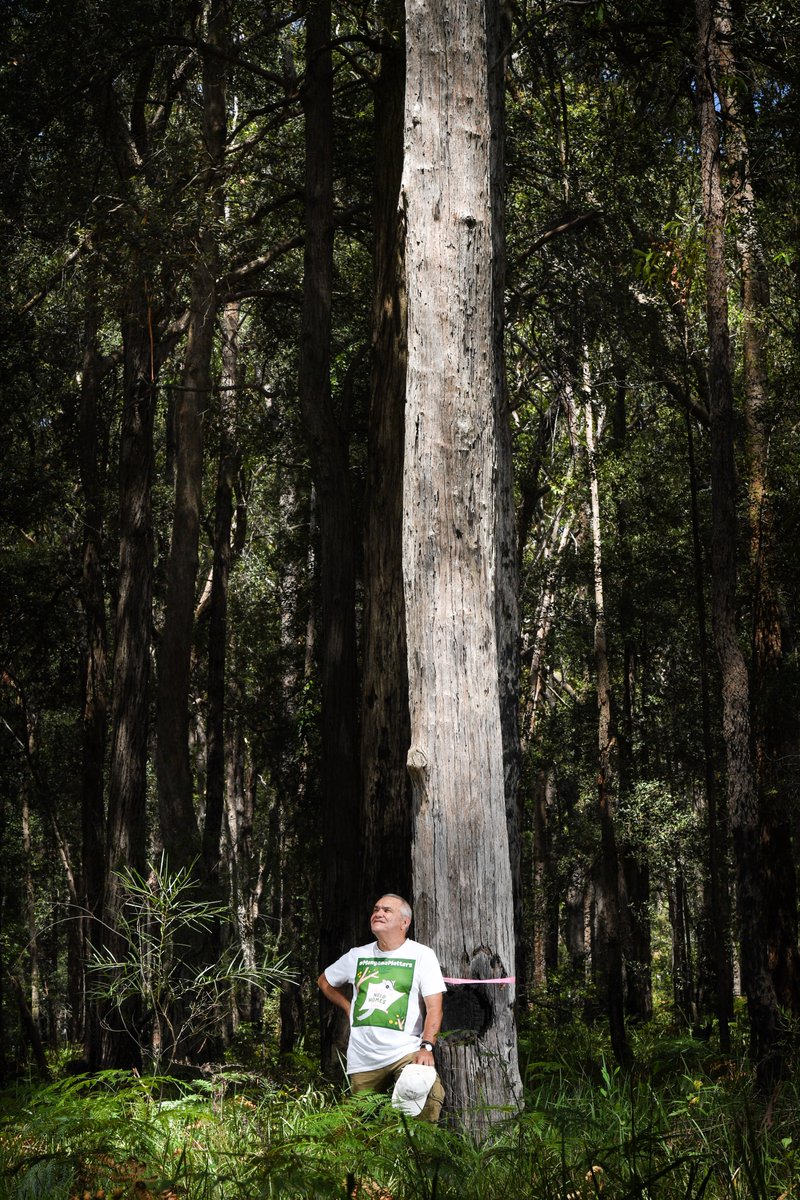 SMH Photography tweet media