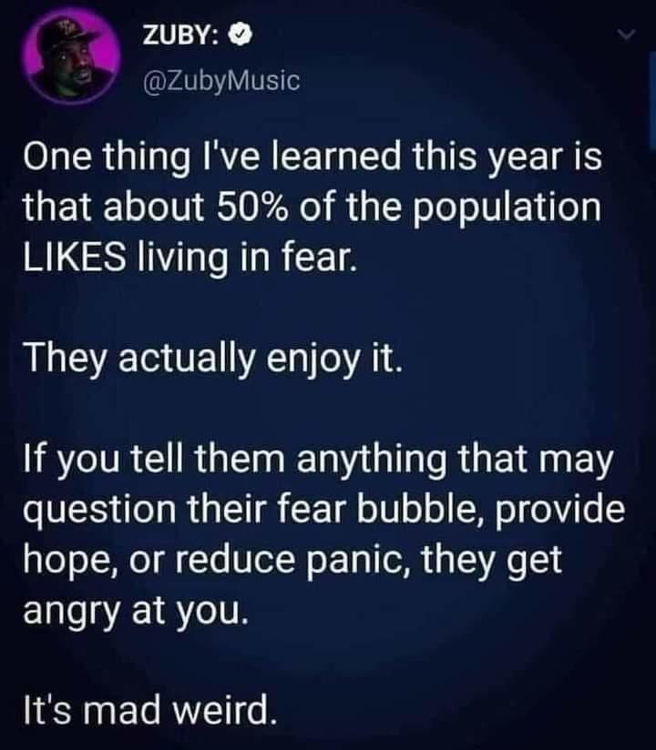 judymorris3's tweet image. #Zuby rocks.