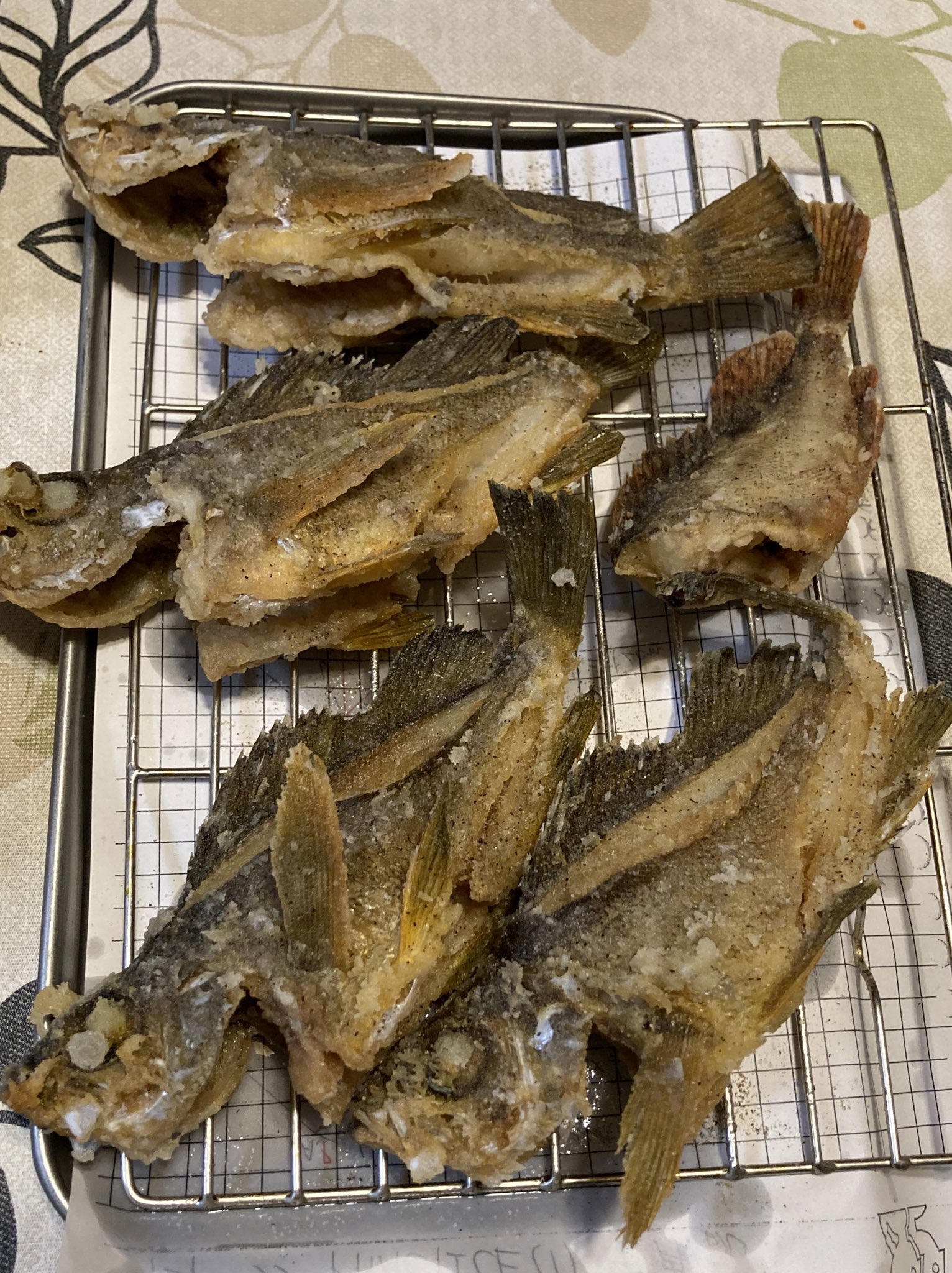 おてもとポメラニアン 追加料理 メバルの刺身 肝醤油 T Co 1u66witnf2 Twitter