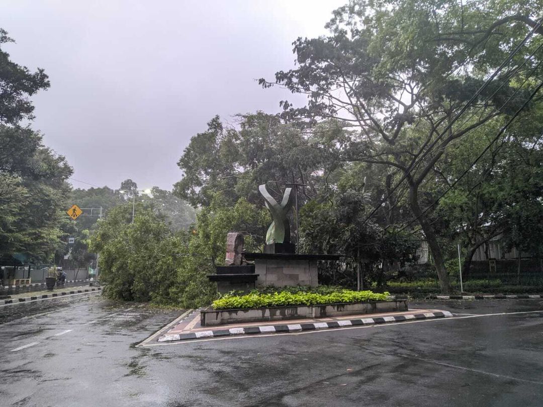 PRFMnews's tweet photo. 07.20 : Pohon tumbang di Jl. Supratman dekat Pussenif, pertigaan Cisadea-Supratman. Hati-hati bagi wargi yang akan melintas. (Netizen PRFM/Ramdhan)
cc @dpkp3bdg @tct_indonesia https://t.co/Sc3ZQDV4Eh
