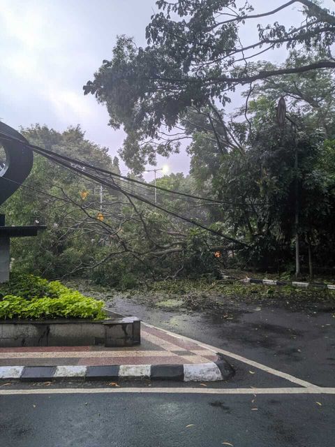 PRFMnews's tweet photo. 07.20 : Pohon tumbang di Jl. Supratman dekat Pussenif, pertigaan Cisadea-Supratman. Hati-hati bagi wargi yang akan melintas. (Netizen PRFM/Ramdhan)
cc @dpkp3bdg @tct_indonesia https://t.co/Sc3ZQDV4Eh