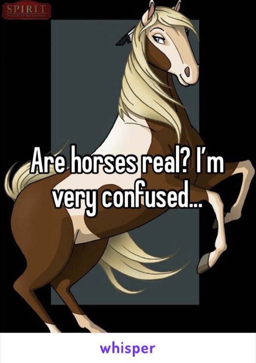 Poo_Crave's tweet image. 