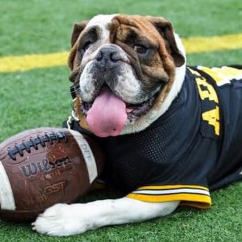 Waides Ashmon tweet media