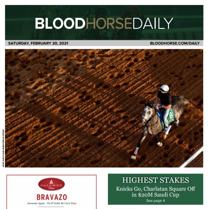 @BloodHorse's photo on Knicks Go