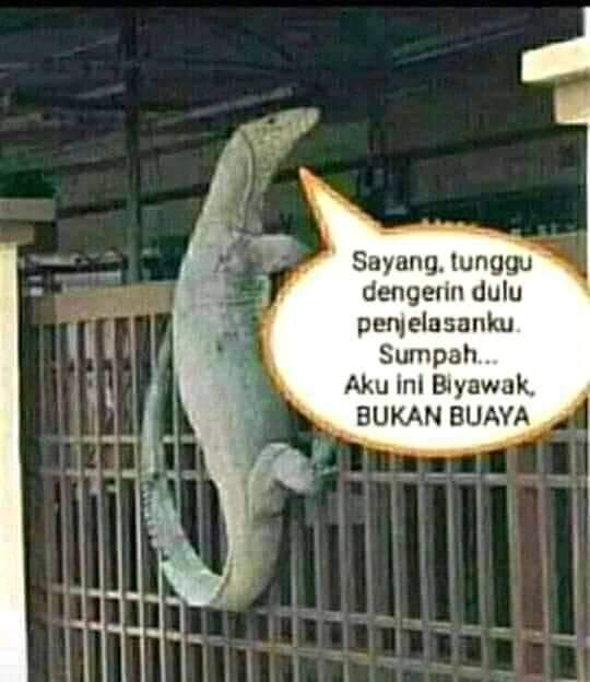 anandaliraisya's tweet photo. @remahancapcay Klo di samperin lagi, konciin smua pintu rmh k 😂 https://t.co/FRtBYrh5Mc