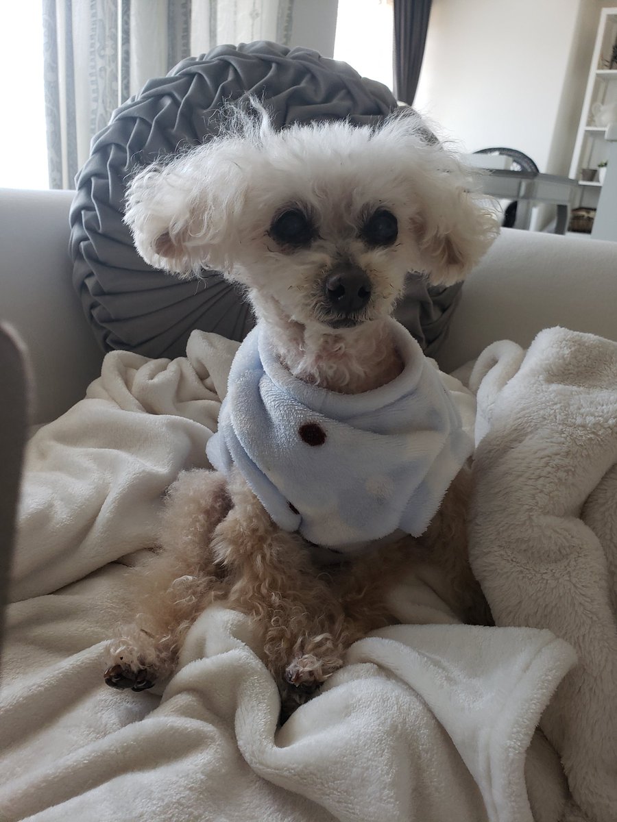 肺水腫 Twitter Search