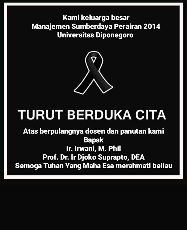 MSP UNDIP 2014 tweet media