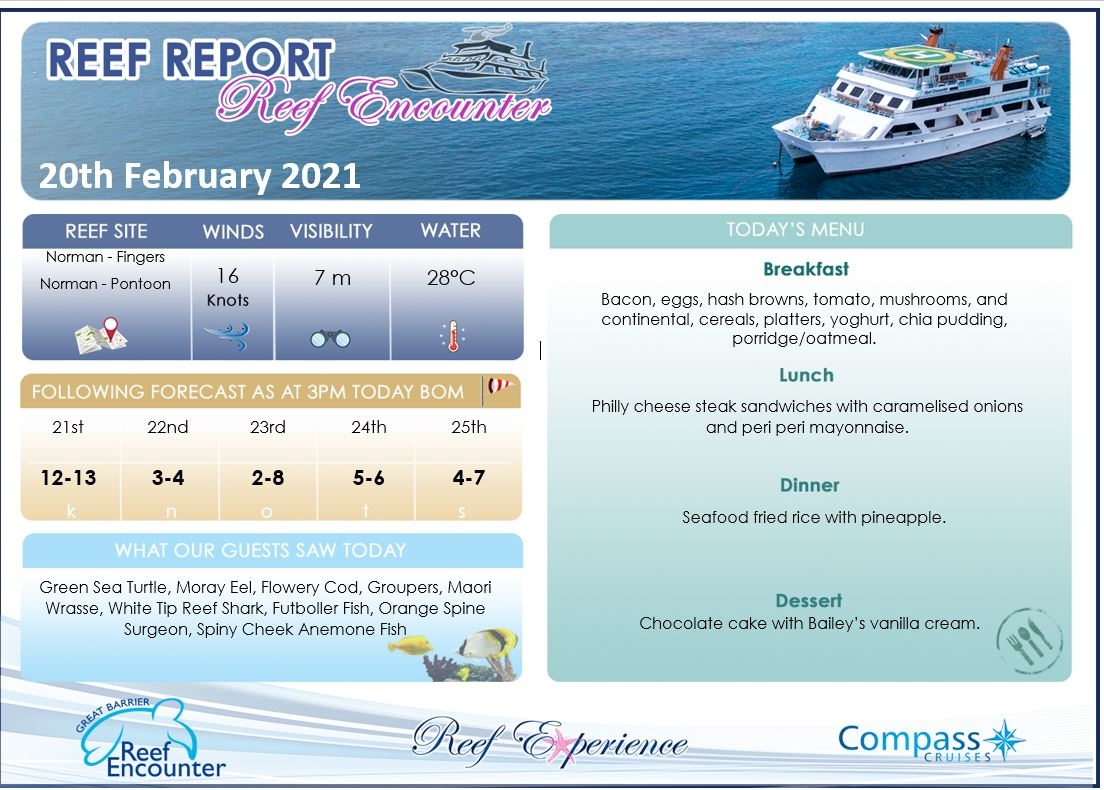 Reef Encounter Reef Report coming to you from the #GreatBarrierReef 20th February 2021. 

🖱 reefencounter.com.au
☎️  (07)4037 2700
 
#reefencounter #floatinghotel #sleeponthereef #bestcrewonthereef #holidayherethisyear 
#greatbarrierreeftours #greatbarrierreeftourscairns