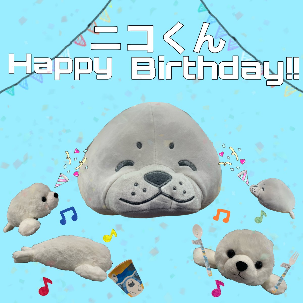 通販ショップ】 今週は、昨年に生まれたバイカルアザラシ「ニコ」くん