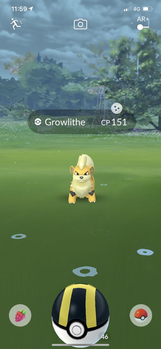 aytab91's tweet photo. Shiny Ekans and Growlithe 🤩✨💪
#pokemongo #shinyhunter #kantotour https://t.co/YikwJOOYU1