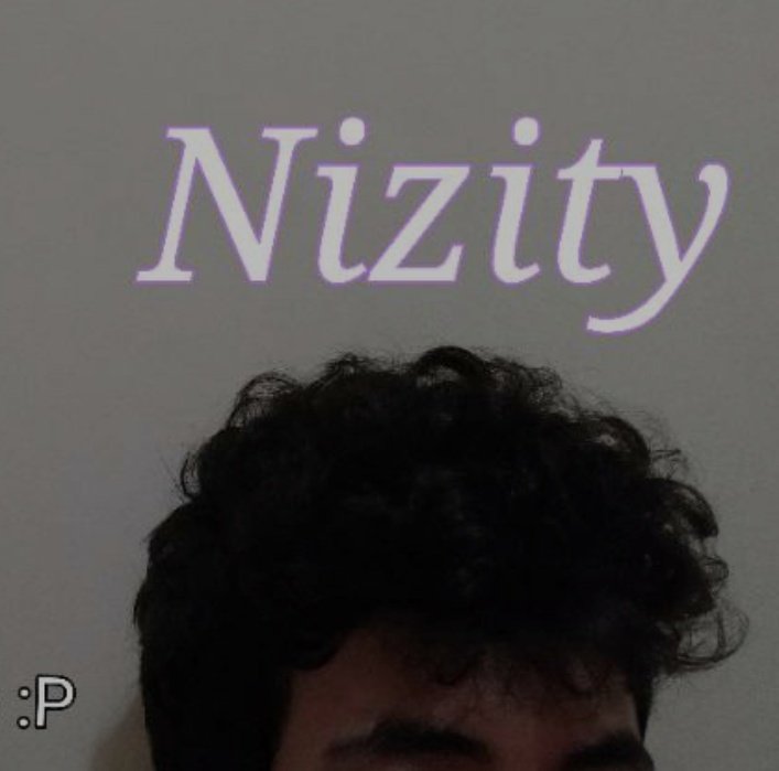 nizity tweet picture