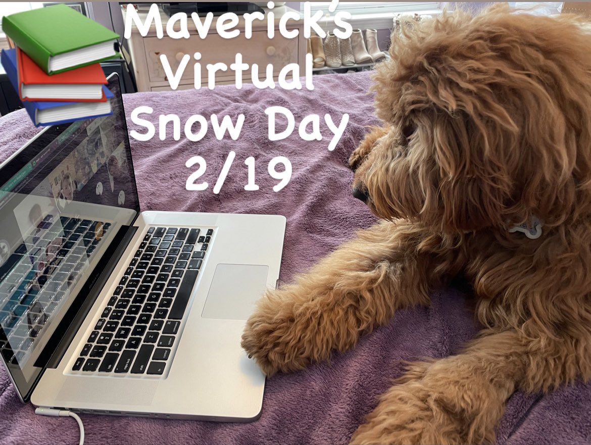 I think Maverick enjoys virtual snow days more than any of us!