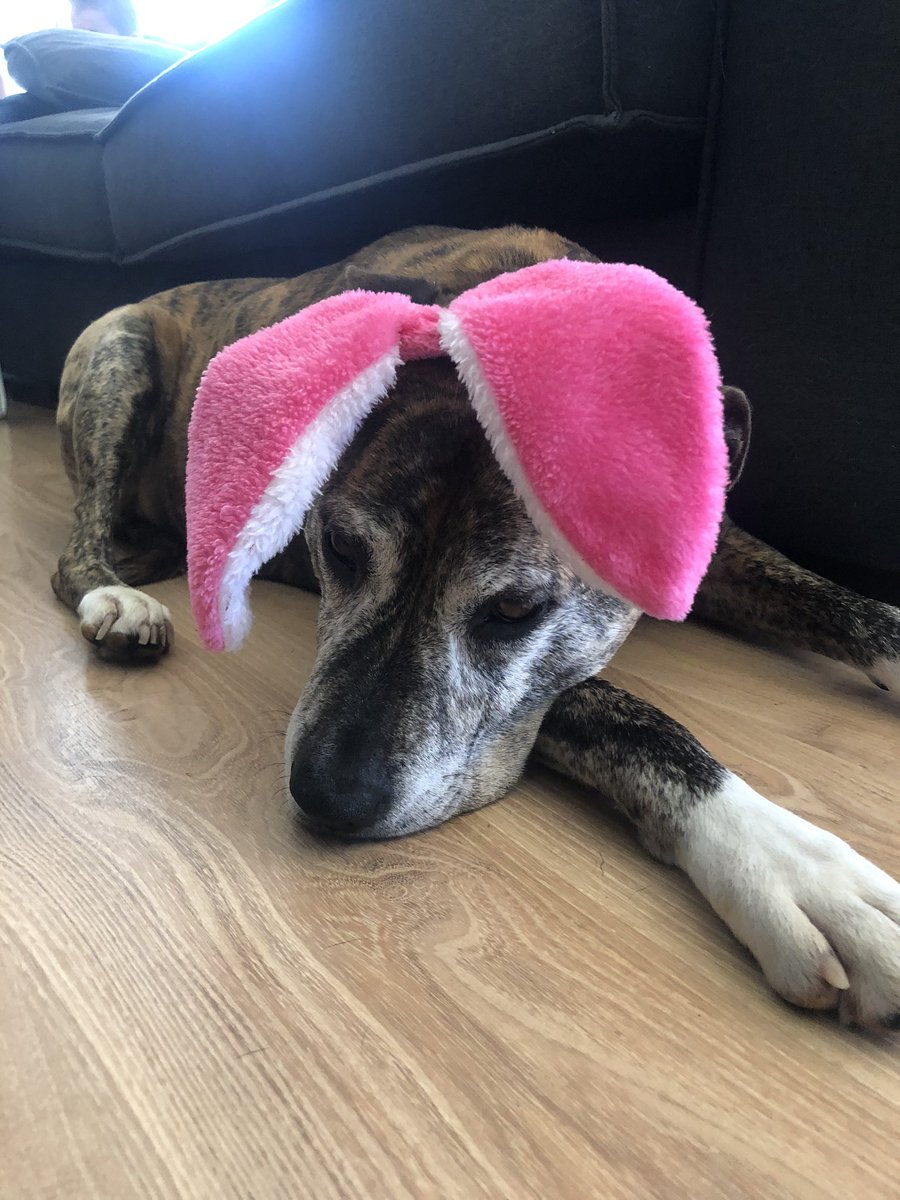 Old Ed has a complicated relationship with Miss 7