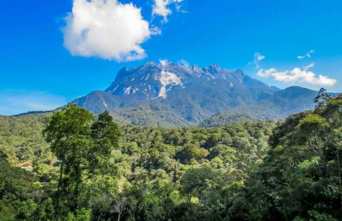 Tonight we're off to Kinabalu Park, one of the first national parks in Malaysia, established in 1964. It's 754 square miles around Mount Kinabalu, the tallest mountain on the island of Borneo and is a popular tourist destination in Malaysia. It's a UNESCO world heritage site.