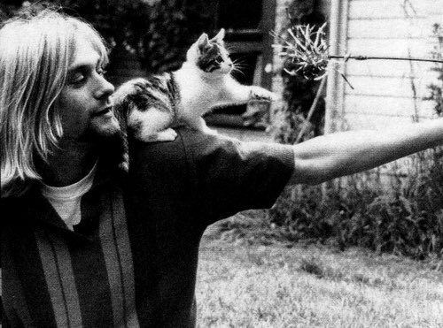 Kurt cobain with his cats
