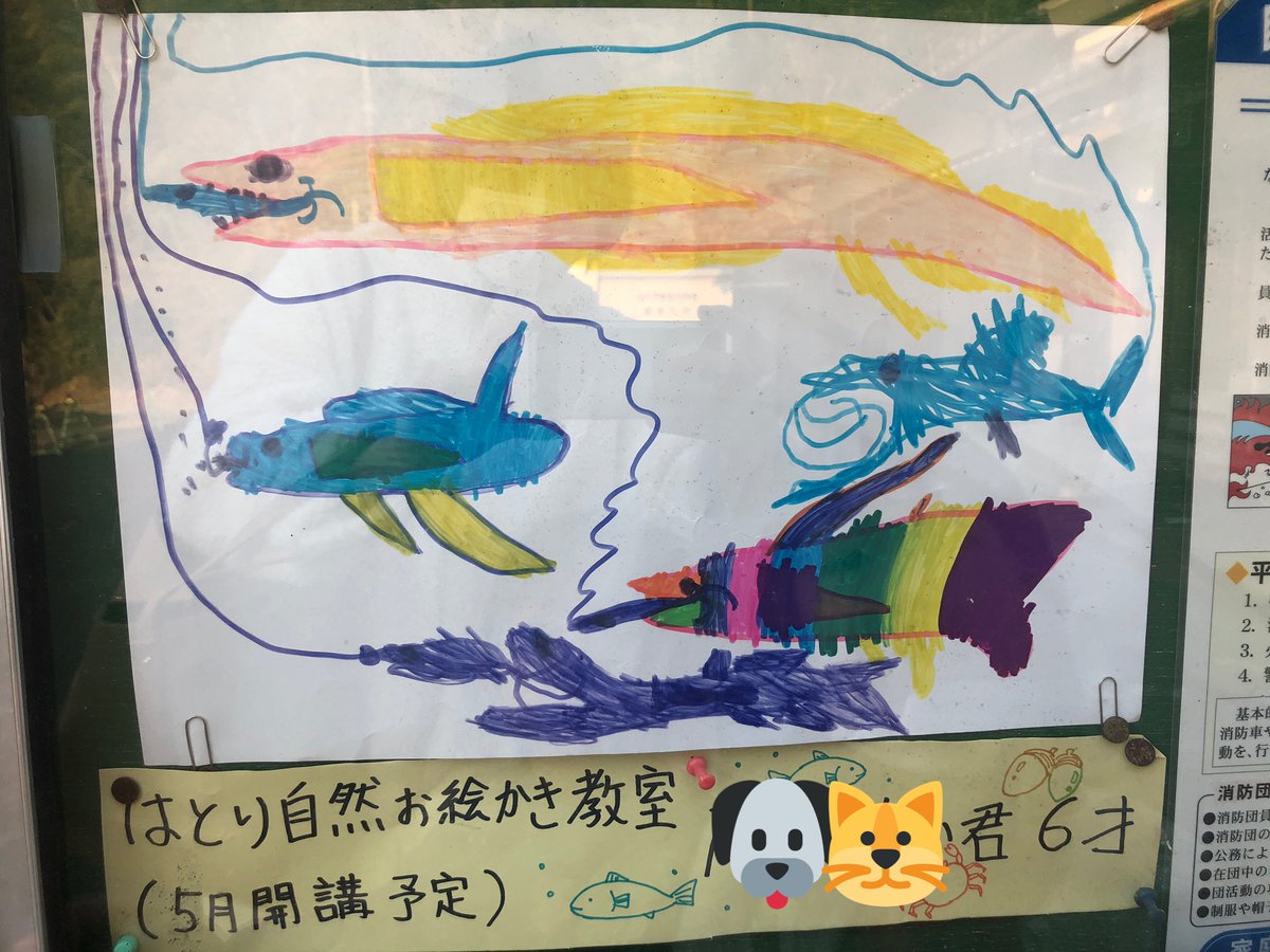はとり自然お絵かき教室 静岡のイラスト教室 公民館の掲示板に飾ってもらいました お絵かき教室 静岡市 はとり自然お絵かき教室 静岡のイラスト教室 公民館の掲示板に飾ってもらいました お絵かき教室 静岡市