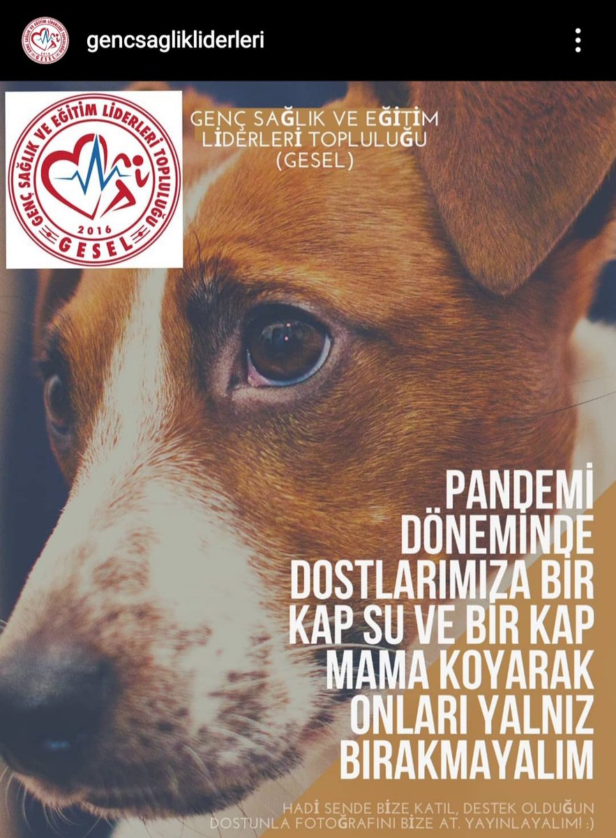 Hadi sen de bize katıl 🐶🐱