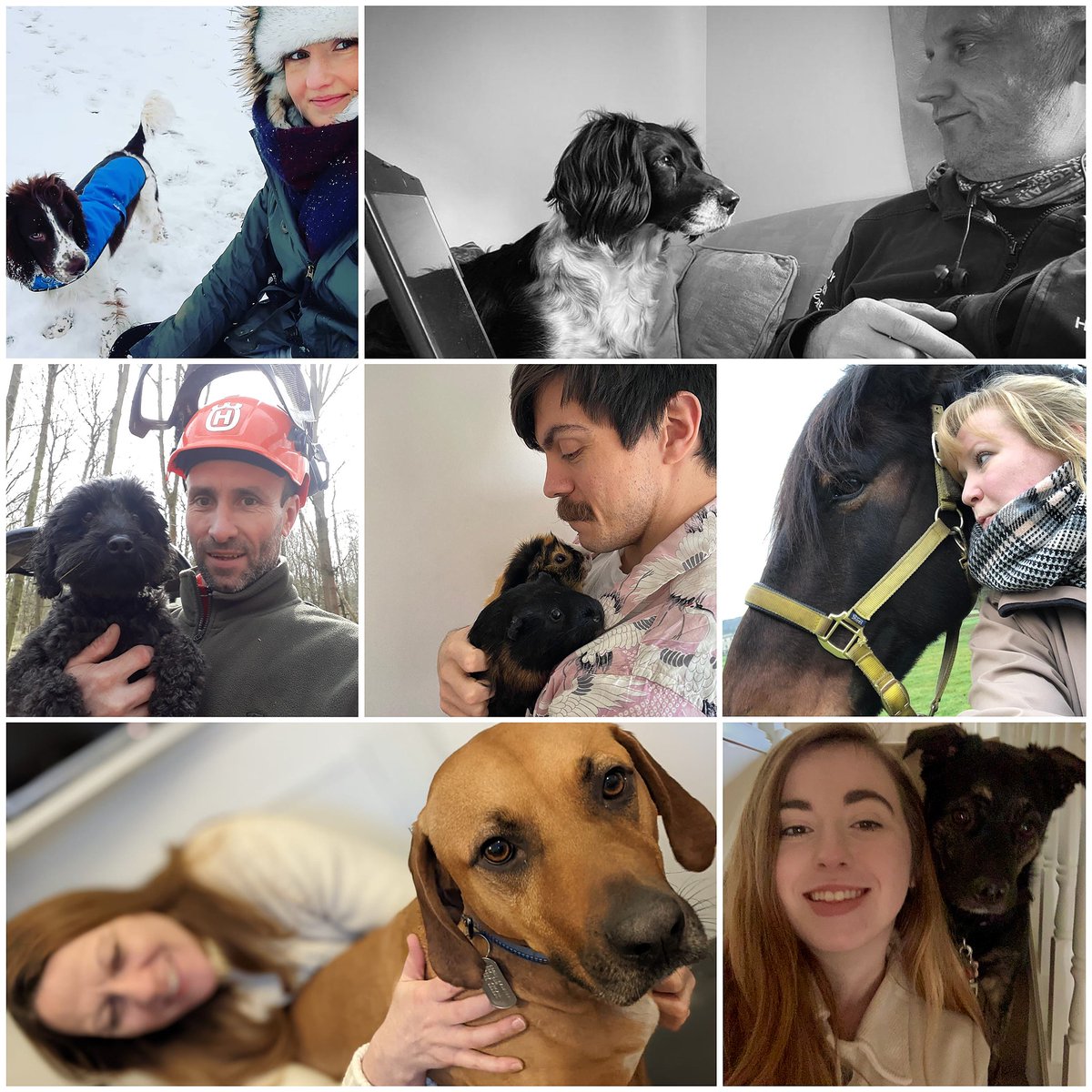 markshallestate's tweet image. Happy Love Your Pet Day from the Marks Hall Estate team... and their furry friends 🐾 Share a photo of your pet in the comments 👇 #LoveYourPetDay #meettheteam