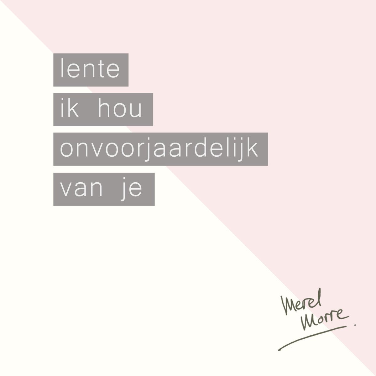MerelMorre's tweet photo. Lijkt wel lente! https://t.co/7cMRDu2TCH