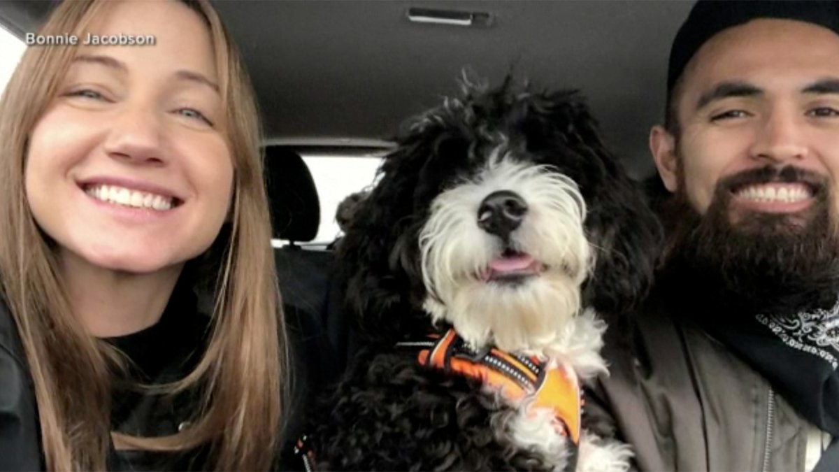 ABC7 News tweet media