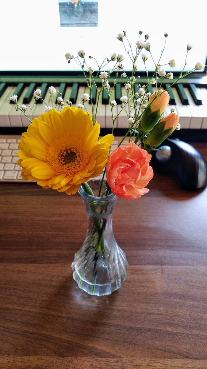 ট ইট র サクマリョウ Ryo Noisycell これがカスミ草かー そしてまたガーベラ 今度は死なせん べつの花瓶では一ヶ月前の カーネーションがまだ長生きしている