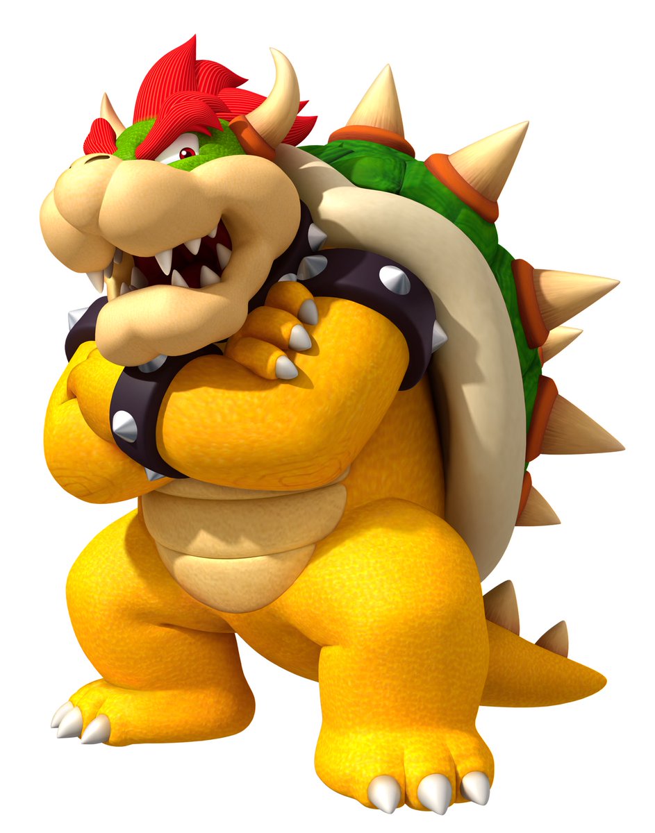 daily_bowser's tweet photo. https://t.co/0x6JNpzmRA