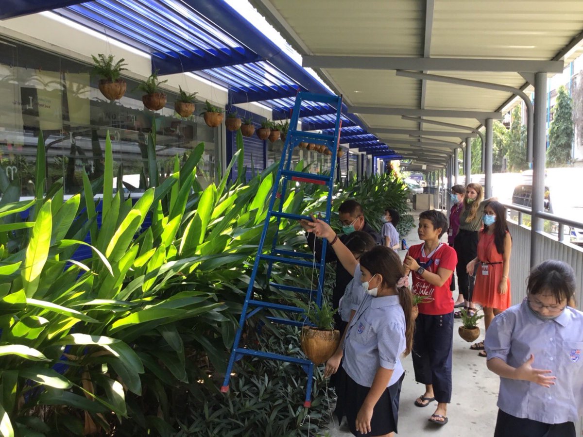 MissChloeMT's tweet photo. Our up-cycled coconut planters were placed outside our classroom window so which can watch the plants grow! #sustainability #upcycling #ecoschool #TeamS107 #CognitaWay @MrMarkS107 https://t.co/fEXYrf4Lqw