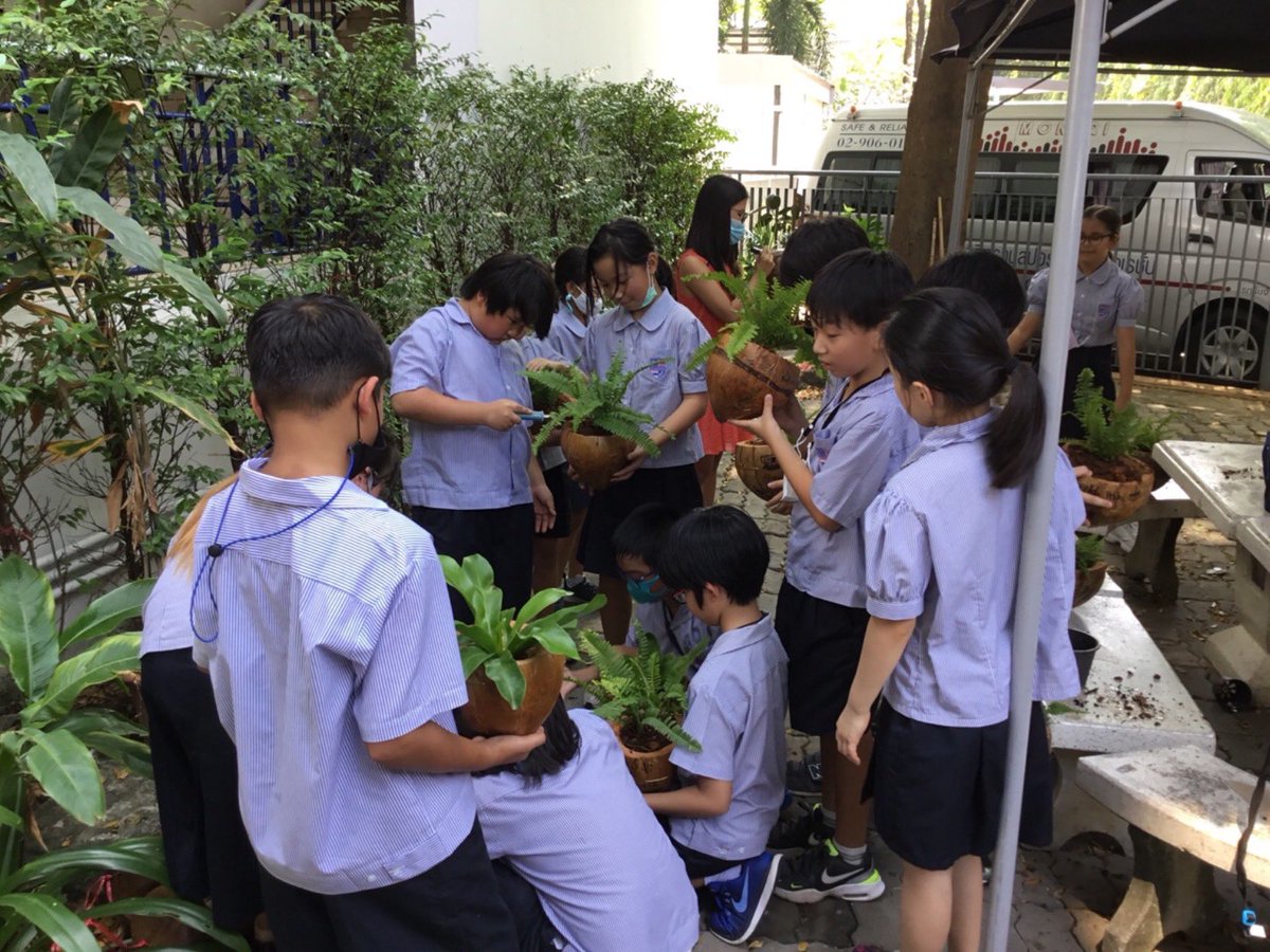 MissChloeMT's tweet photo. Our up-cycled coconut planters were placed outside our classroom window so which can watch the plants grow! #sustainability #upcycling #ecoschool #TeamS107 #CognitaWay @MrMarkS107 https://t.co/fEXYrf4Lqw