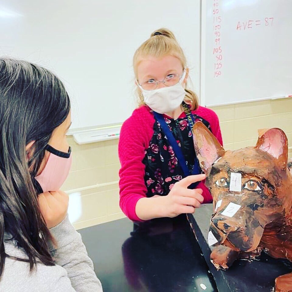WatertownUSD's tweet photo. #WatertownWay students at Riverside STEM Academy have been persevering and developing unique products that illustrate evidence of their learning! Can you spot your student? https://t.co/Psol6pqDF1