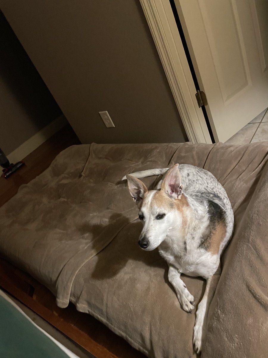 Sharon Everett (@gradyjeverett) on Twitter photo 