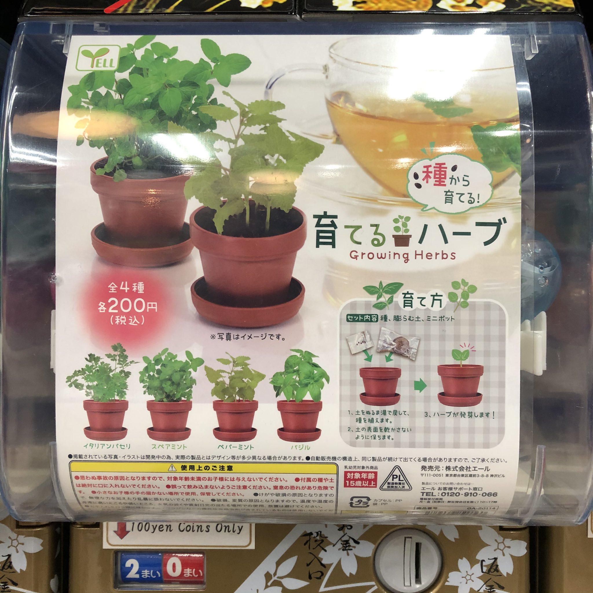 がちゃ処 エール 育てるハーブ 入荷しました 浅草 がちゃ処 エール Yell ハーブ イタリアンパセリ スペアミント ペパーミント バジル ガチャガチャ ガチャ ガシャポン ガチャポン