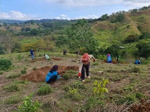 Star8GreenTech1's tweet photo. #PlantPlantPlant @DENROfficial
We hope to see more of this kind of partnership from the private sector because for the Agriculture sector to prosper particularly the coconut sub-sector, we need all the help we could get from them, and Star 8 has started to make it happen. https://t.co/4G2I17faRV