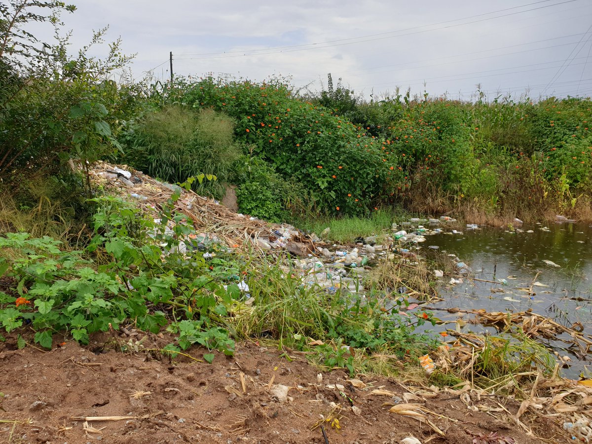 I saw someone yesterday, with a wheelbarrow full of home waste come to dump it here. I asked myself surely there is something we can do with what we generate in our homes? Any ideas ?
#MyPlanetMyRights