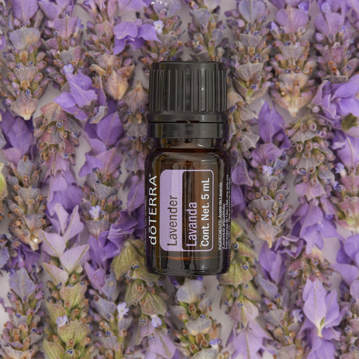 doTERRAMXof's tweet photo. #IntroKit
La lavanda ha sido sumamente valorada desde la antigüedad por tener propiedades para relajar el sistema nervioso😴🥱😊Hoy sabemos que estas propiedades se relacionan a compuestos como el linalol, el linalino, y el alcanfor💜🫒🌱
#LavandulaAngustifolia #doTERRA https://t.co/aLCcAghF0x