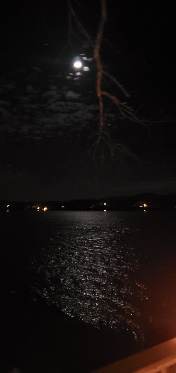 Shirley Millwood (@smillwood) on Twitter photo 