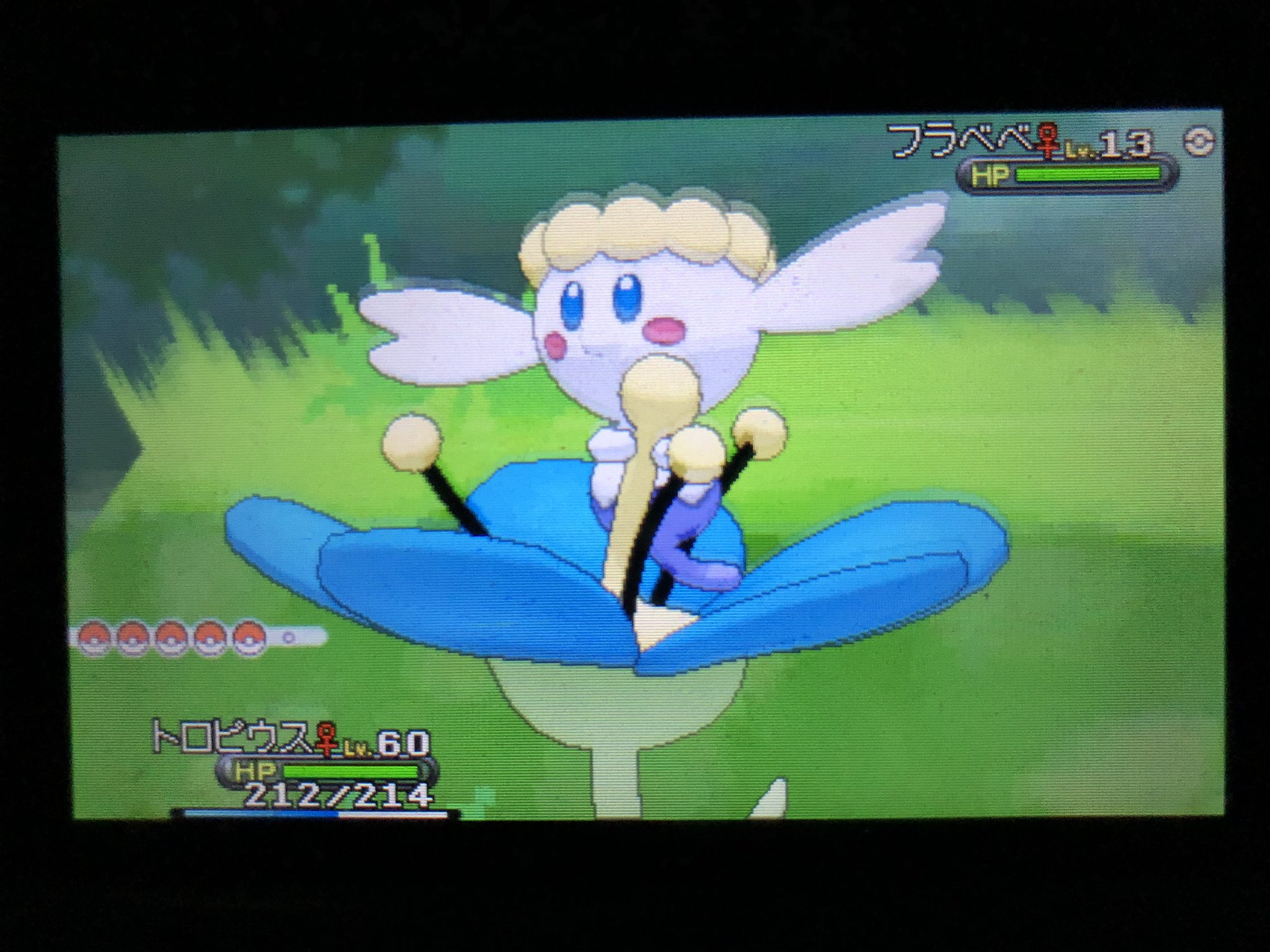 Magict ポケモンxy ポケトレ 色違いフラベベ Xyのポケトレにもだいぶ慣れた Magict ポケモンxy ポケトレ 色違いフラベベ Xyのポケトレにもだいぶ慣れた